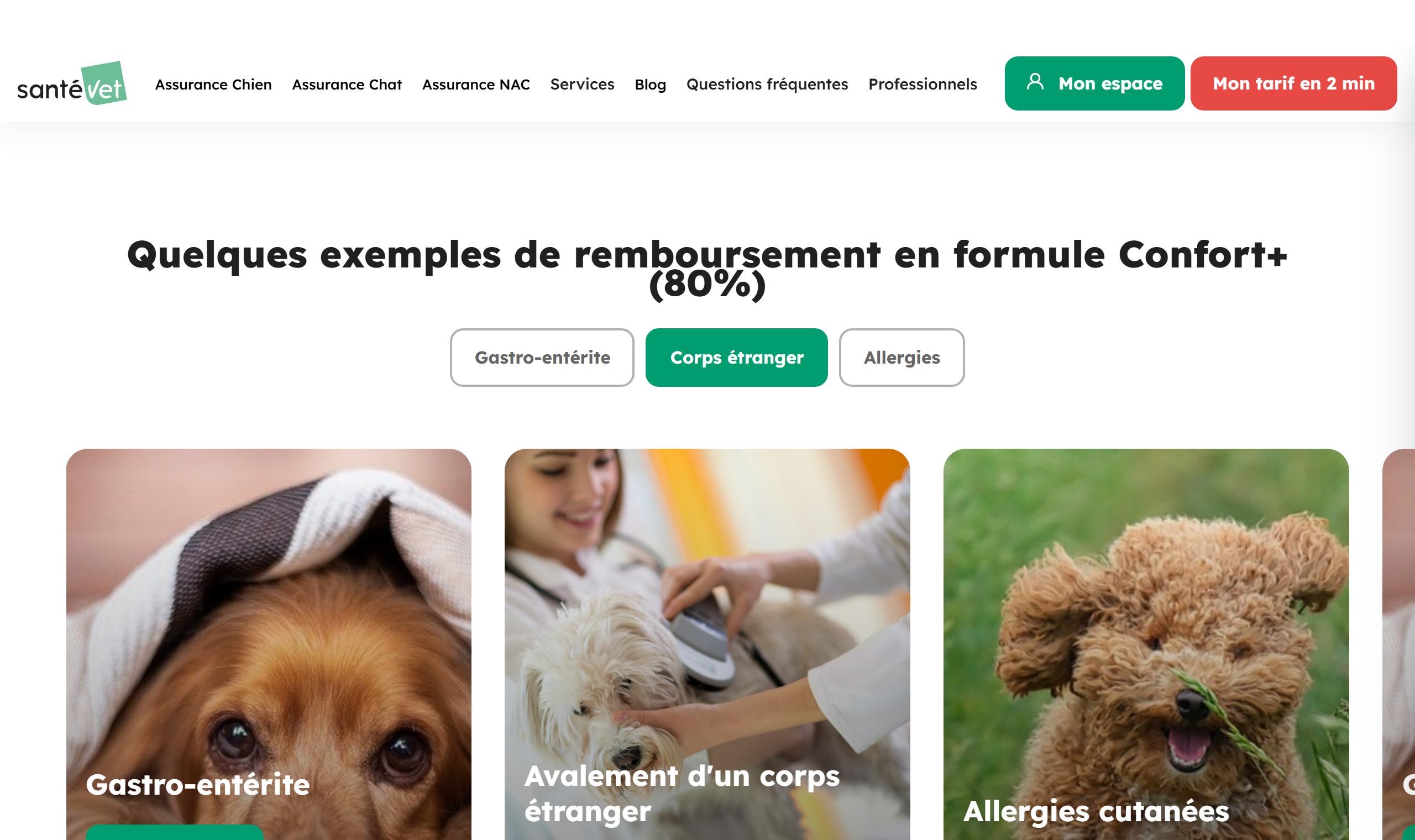 Exemples de remboursement SantéVet en formule Confort+ à 80 %