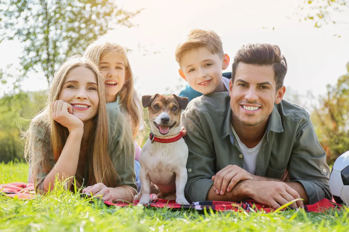 Assurance animaux tiers payant : ne plus avancer les frais véto