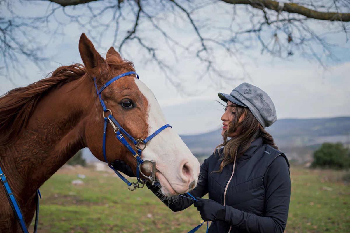 Gourme du cheval : symptômes, contagion, isolement et coût des soins