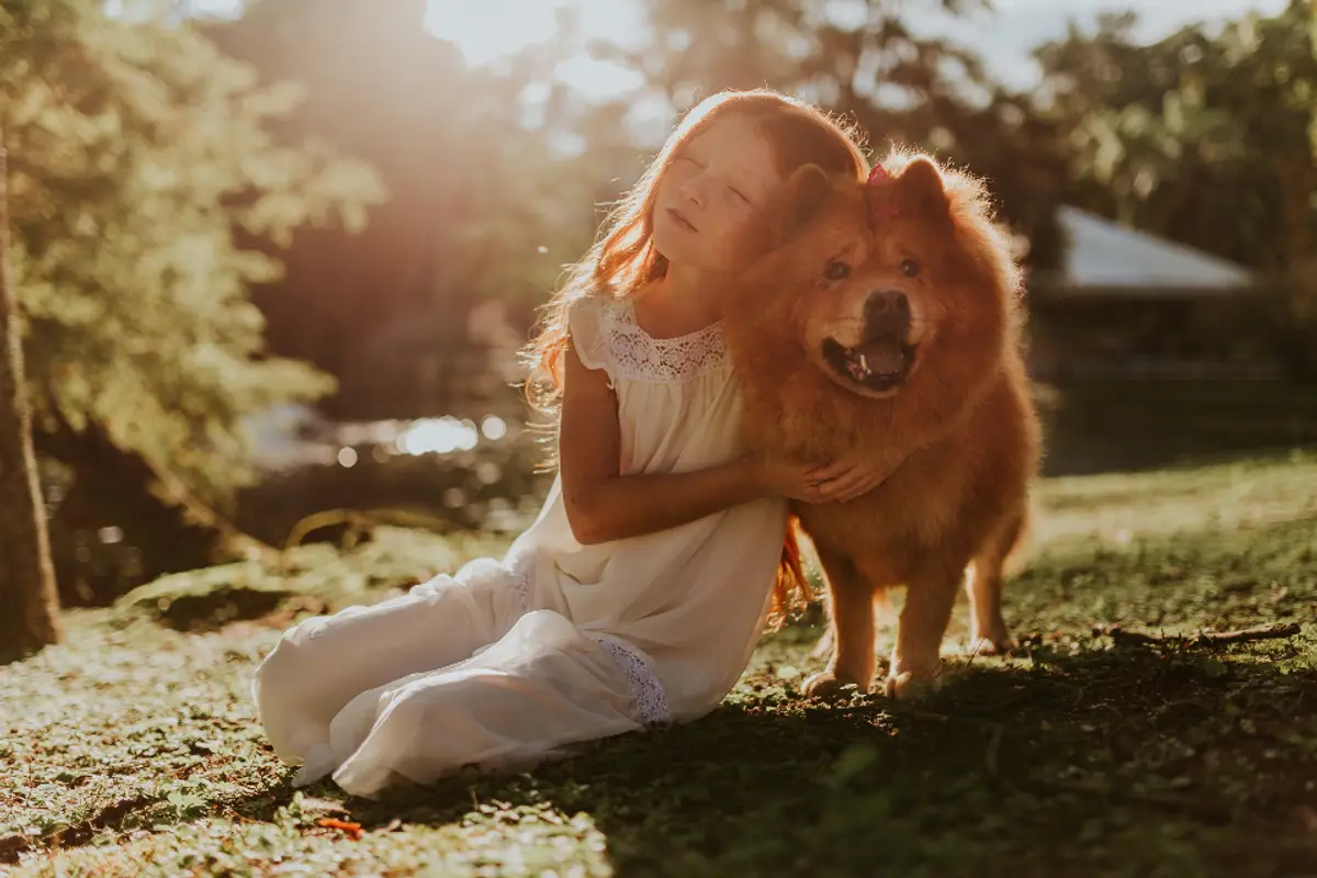 Hernie discale chez le chien : symptômes, opération et prix