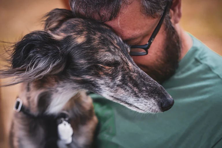 Hypothyroïdie chez le chien : symptômes, diagnostic et coût du traitement