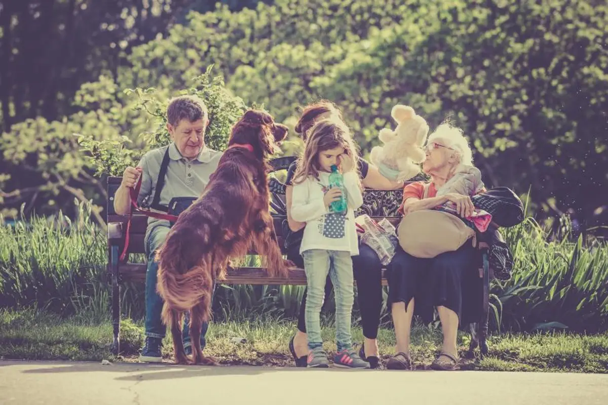 Résiliation assurance animaux : délais et modèle de lettre