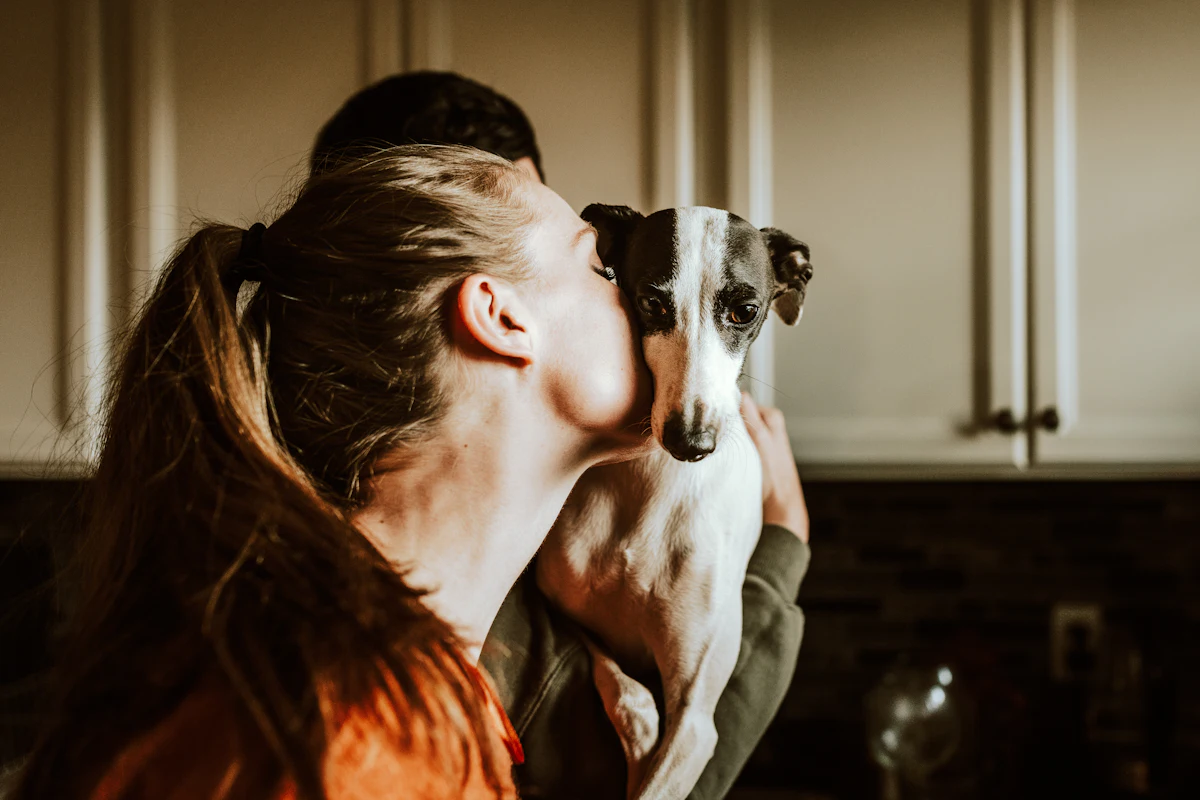 Teigne du chien : symptômes, diagnostic, traitement et coût réel